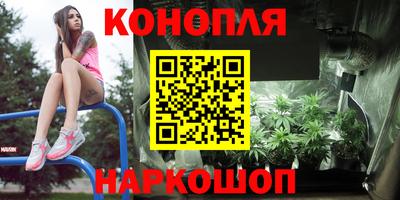 PSILOCYBIN Будённовск