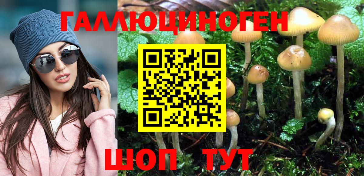Галлюциногенные грибы GOLDEN TEACHER  Вход с VPN  Серпухов 